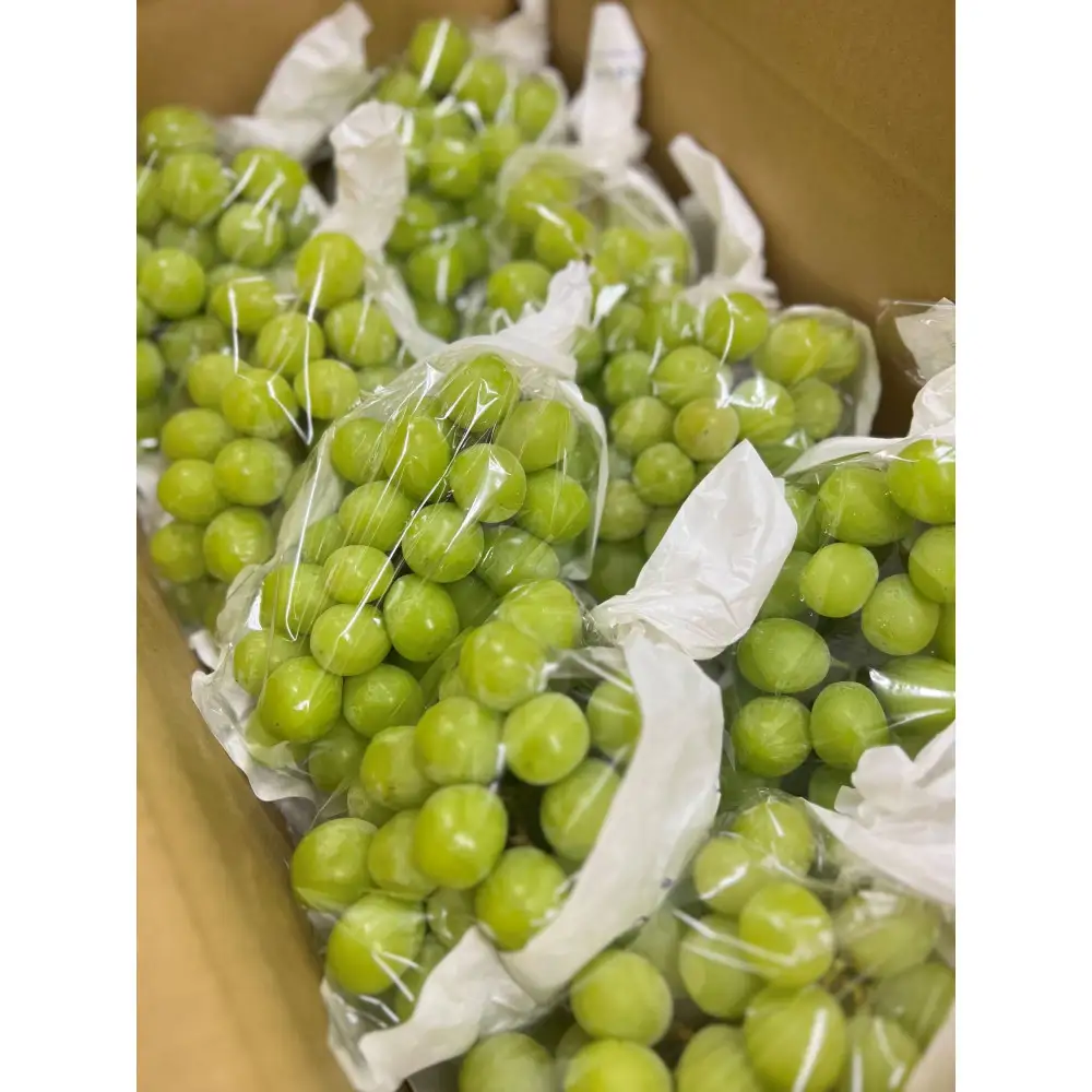 シャインマスカット2kg　3-5房