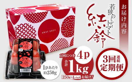 定期便 ≪3ヶ月連続お届け≫ フルーツミディトマト 約1kg × 3回 トマト 野菜 [m37-a027]