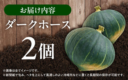 【先行予約】北海道 かぼちゃ ダークホース 2個 【9月中旬以降発送】足寄町/足寄アグリバイオ株式会社[BEAC009]