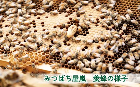 国産蜂蜜 500g みつばち屋嵐 国産蜂蜜 F010-129002