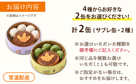 恐竜サブレ缶（小）選べるクッキー缶2個　 おもちゃ 恐竜博物館 ティラノサウルス トリケラトプス スピノサウルス モササウルス 食玩 玩具菓子 きょうりゅう 男の子 プレゼント スイーツ デザート おやつ 洋菓子 永平寺町 送料無料 ダイナソー お土産 お菓子 洋菓子 ギフト[A-026034]