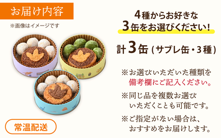 恐竜サブレ缶（小）選べるクッキー缶3個  おもちゃ 恐竜博物館 ティラノサウルス トリケラトプス スピノサウルス モササウルス 食玩 玩具菓子 きょうりゅう 男の子 プレゼント スイーツ デザート おやつ 洋菓子 永平寺町 送料無料 ダイナソー お土産 お菓子 洋菓子 ギフト[B-026039]