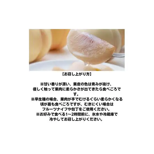家庭用 桃 3玉 大玉 約900g 岡山県産 【先行予約 2026年7月上旬から順次発送】
