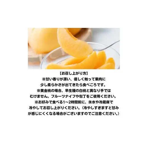 家庭用 黄金桃 5～6玉 約1.3kg 岡山県産　【先行予約 2026年8月下旬から順次発送】