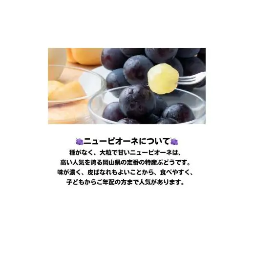 詰合せ 白桃 晩生種 2玉 ニューピオーネ 1房 合計約1.0kg 岡山県産 【先行予約 2026年8月下旬から順次発送】