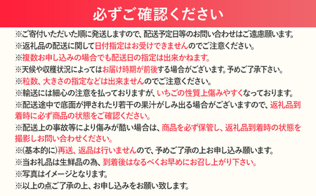 【2027年発送先行予約】プレミアム あまおう EX（化粧箱入り）いちご フルーツ 果物 あまおう 約400g×1パック 苺 イチゴ ギフト 贈答用 贈り物 お祝い 祝い 化粧箱 福岡【発送時期2027年2月上旬～2027年4月上旬】
