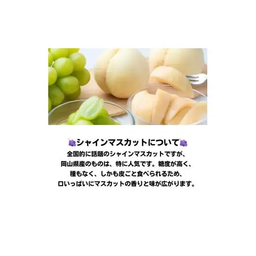 詰合せ 白桃 晩生種 2玉 シャインマスカット 1房 合計約1.0kg 岡山県産 【先行予約 2026年8月下旬から順次発送】