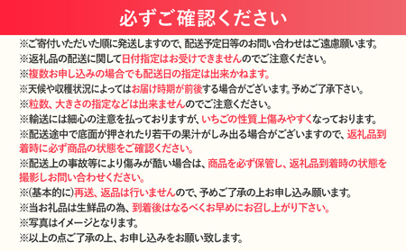 【2027年発送先行予約】あまおう2パック×3回発送定期便 (2月、3月、4月発送) 定期便 約250‐270g×2パック いちご フルーツ 果物 あまおう 苺 イチゴ 福岡【発送時期2027年2月、3月、4月】