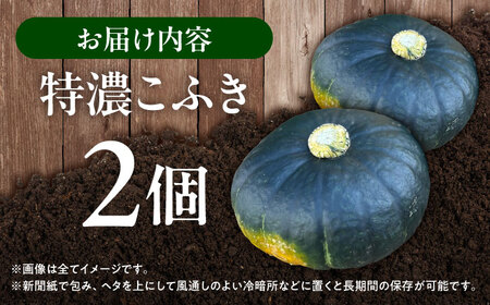 【先行予約】北海道 かぼちゃ 特濃こふき 2個 【9月中旬以降発送】足寄町/足寄アグリバイオ株式会社 [BEAC011]