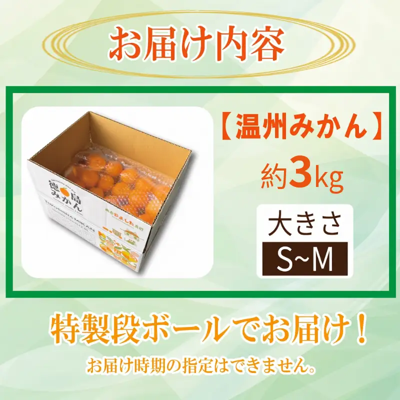 【2026年10月順次発送】 極早生みかん 3kg 温州 みかん