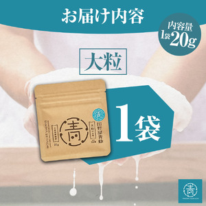 塩 完全天日塩 大粒 20g 塩職人 田野屋青蜂