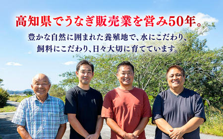 【3回定期便】 極上国産うなぎ四万十桜 蒲焼き3尾 たっぷり大サイズ / 国産 高知 四万十 うなぎ ウナギ 鰻 蒲焼き うな重 惣菜 贅沢 【有限会社もりた】[ATHE006]