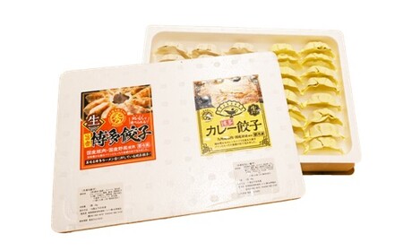 A1539.博多餃子40個+博多カレー餃子ミックスセット