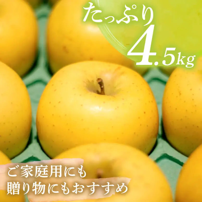 シナノゴールド 4.5kg(秀14～16玉)【1615469】