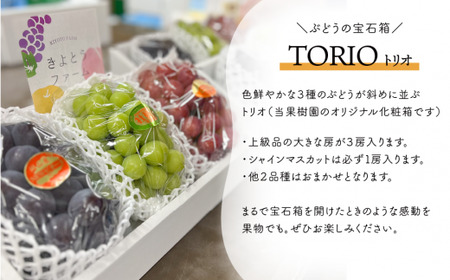 量より質！桃と葡萄と梨の上級品が届く岡山果物便！３回便(定期便) (岡山県産) 【KF-T024-04】