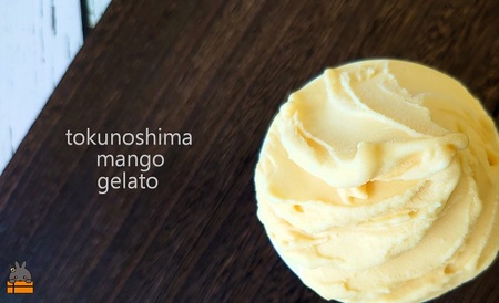 ～原料の45％が完熟マンゴー～徳之島プレミアムマンゴージェラート（8個） ( アイス スイーツ スイーツ マンゴー フルーツ 果物 アイスクリーム 洋菓子 徳之島 奄美 鹿児島 45％ 濃厚 ほぼマンゴー )