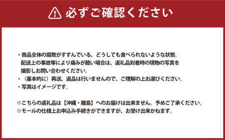 ご家庭用 岡山白桃 4～5玉  計1.2kg 【2026年6月下旬～7月下旬発送予定】 白桃 桃 もも モモ