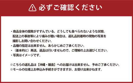岡山白桃 晩生 ロイヤル 3玉  計800g 【2026年8月下旬発送予定】 白桃 桃 もも モモ