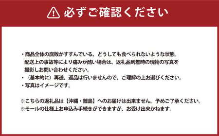 清水白桃 エース 3玉  計750g 【2026年7月上旬～7月下旬発送予定】 白桃 桃 もも モモ