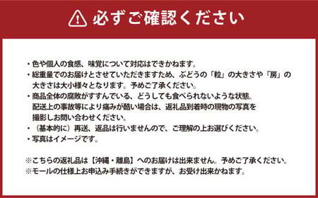 ご家庭用 シャインマスカット 2～3房 計1.3kg 【2026年9月上旬～10月下旬発送予定】 マスカット ぶどう 葡萄 ブドウ 種なし