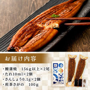 八本木樽鰻2尾＆お茶セット うなぎ蒲焼(156g以上×2尾)＆煎茶さがの(100g) 鰻 タレ たれ さんしょう 山椒付 お茶 緑茶 鹿児島県産 国産 セット 冷凍 おかず おつまみ お祝い 惣菜 a5-330