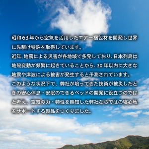 エアーベッド 空気で簡単 ベッド 1枚 ハンディポンプ 1丁 防災用 防災グッズ 防災