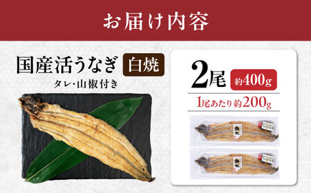  国産活うなぎ2尾（白焼）[AQDF011] 鰻 白焼き 国産 活うなぎ