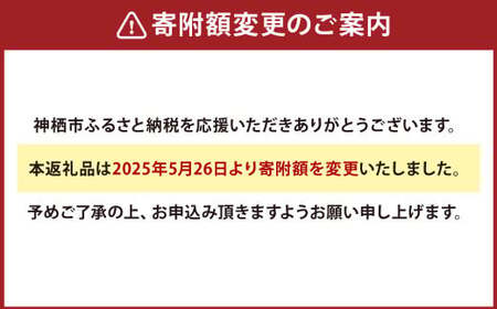 【5ヶ月定期便】いくら醬油漬け (北海道産原料使用) 100g×2パック 合計1000g