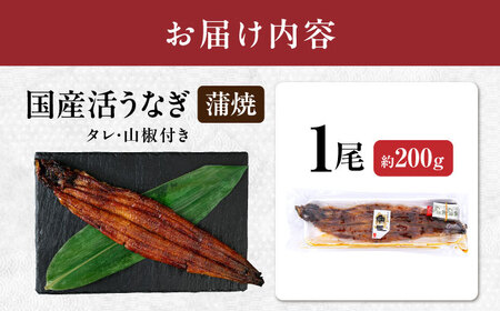 【 蒲焼き 】国産活うなぎ1尾[AQDF006]蒲焼き
