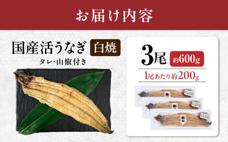  国産活うなぎ3尾（白焼）[AQDF012] 鰻 白焼き 国産 活うなぎ