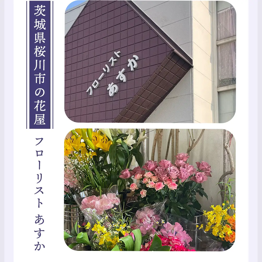 【 配送日指定可 】【 定期便 /3ヶ月連続】季節の お供え用 アレンジメントフラワー 仏花 お盆 お供え お悔やみ 仏事 法事 命日 お盆 秋彼岸 春彼岸 正月 生花 [CY010sa]