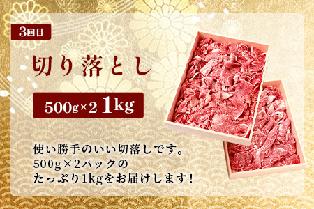 お試し定期便 【 定期便 3回 】 総重量 1,900g 牛肉 椎葉牛の スライス肉 ＆ 切り落とし肉 定期便 【 日本三大秘境 椎葉村 育ちの黒毛和牛 】 牛肉 定期便 肉 牛スライス肉 牛切り落とし肉 A5等級指定 黒毛和牛 A5ランク TK-100