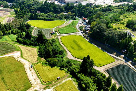 【令和7年産】産地直送　源流に育まれた、キヌムスメ米（5kg）【お米 5kg きぬむすめ 令和7年度産 2025年度産 島根県産 絹娘 精米 白米 大田市産 米 2025年産 こめ おこめ JA 島根県 大田市】