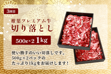 お試し定期便 【 定期便 3回 】 総重量 1,900g 牛肉 椎葉プレミアム牛の スライス肉 ＆ 切り落とし肉 定期便 【 日本三大秘境 椎葉村 育ちの黒毛和牛 】 牛肉 椎葉牛 椎葉プレミアム牛 定期便 肉 スライス肉 切り落とし肉 A5等級指定 黒毛和牛 A5ランク TK-101