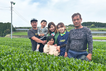 お茶 緑茶 そのぎ茶 (極上) 90g×3袋入り 総計270g [山口製茶 長崎県 東彼杵町 hs42bag310003]