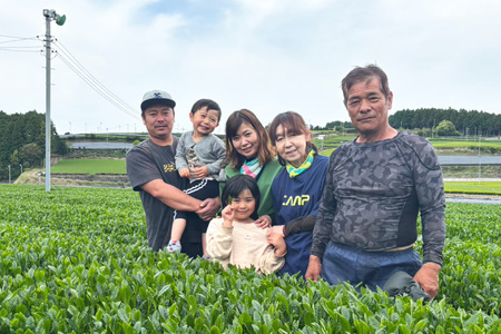 お茶 緑茶 そのぎ茶 「特上玉緑茶」 90g×5袋入り 総計450g [山口製茶 長崎県 東彼杵町 hs42bag310004]