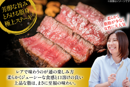 ヒレステーキ 和牛 長崎和牛 ヒレ ステーキ 120g 5枚 計600g [大川ストアー 長崎県 東彼杵町 hs42bag580000]