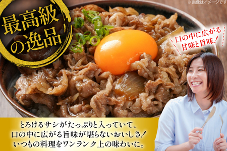 牛肉 切り落とし 定期便 長崎和牛 切り落し600g 2回 総計1200g [大川ストアー 長崎県 東彼杵町 hs42bag580011]