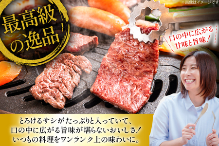 カルビ 和牛 肉 長崎和牛 霜降り カルビ 1.3kg [大川ストアー 長崎県 東彼杵町 hs42bag580087]