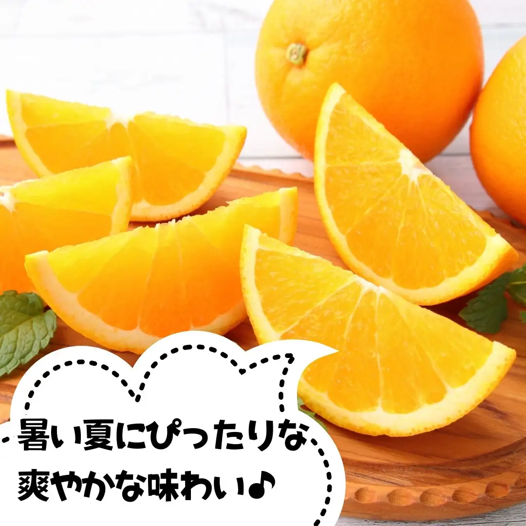 訳あり バレンシアオレンジ  国産 箱込 7.5kg (内容量 6.8kg ) サイズミックス 和歌山県産 産地直送 みかんの会