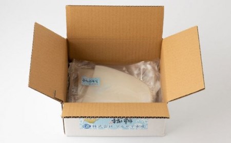 【五島列島産】最高級アオリイカ1kg-1.2kg（下処理前） 五島市/マルセイ水産[PBT003]  刺身 冷凍 いか 海鮮 あおりいか 海産物