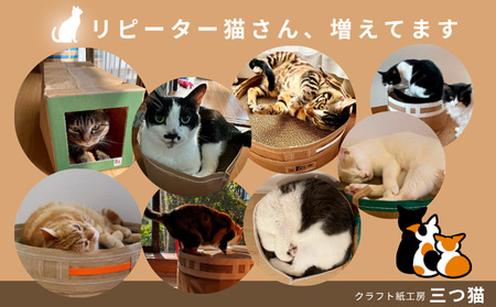 猫爪とぎセット(爪とぎ・猫トンネル) M-01 FY25-194