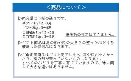 【2026年先行予約】 シャインマスカット 2～3房 1kg以上 【ギフト用】 ここちとふぁーむ 岡山県産シャインマスカット 【koko001-02】