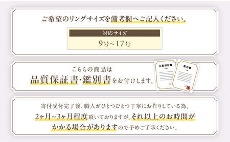 Pt999 プラチナ パライバトルマリン プラチナリング 指輪 ジュエリー アクセサリー 人気 おすすめ レディース パライバトルマリン0.01ct ダイヤ0.05ct カラット プラチナ ダイヤモンド 山梨県 甲斐市 AQ-187 SJ-497