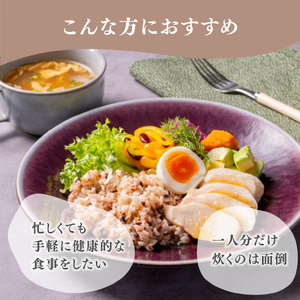 【定期便12ヶ月】金賞健康米 十六雑穀 パックご飯 120g×12個 低GI 腹持ち抜群