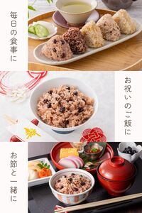 【定期便12ヶ月】金賞健康米 赤飯 パックご飯 120g×12個 大納言小豆 ゆめぴりか