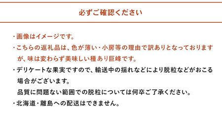 種あり 巨峰 ブドウ (訳あり) 約3kg (約7～12房)  | ぶどう 果物 フルーツ 果実 訳あり 家庭用 産地直送 大分県産 九州産 大分県 中津市