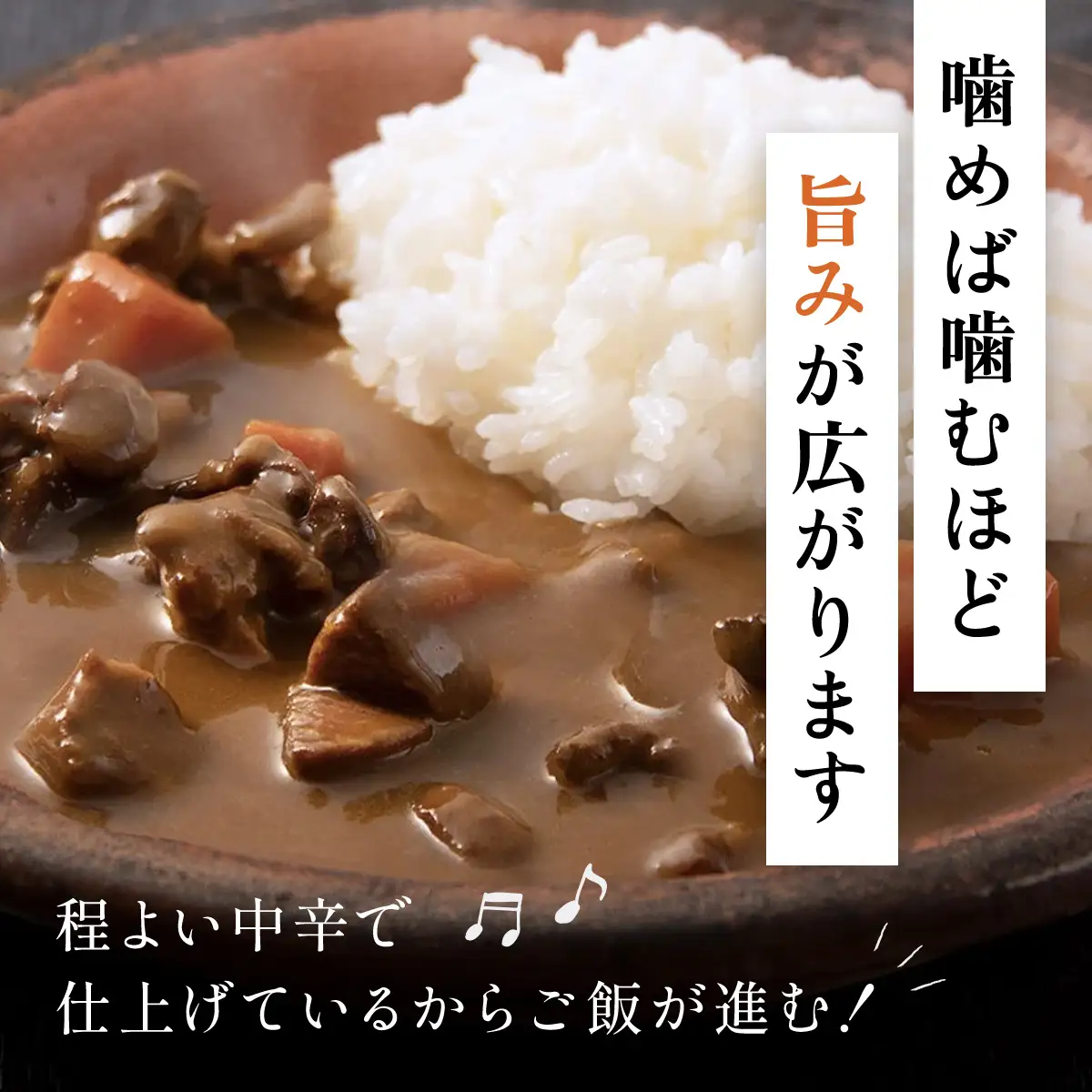 ジビエジャポン猪カレー　5箱セット(200g×5P) MBQ001