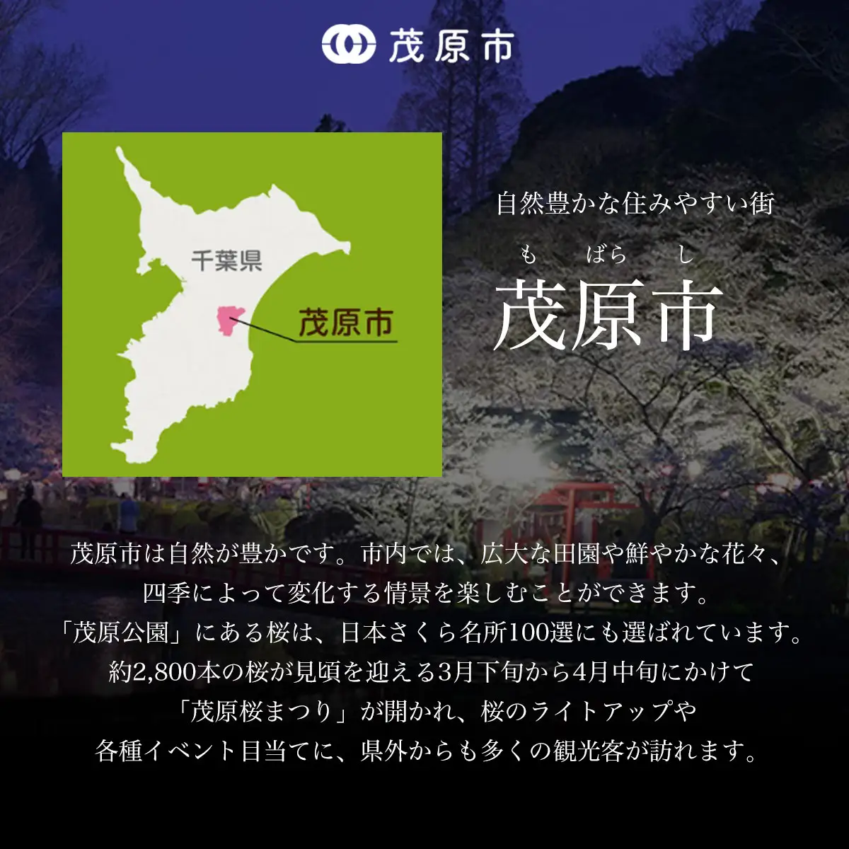 手作りキムチ3種詰め合わせ MBM001