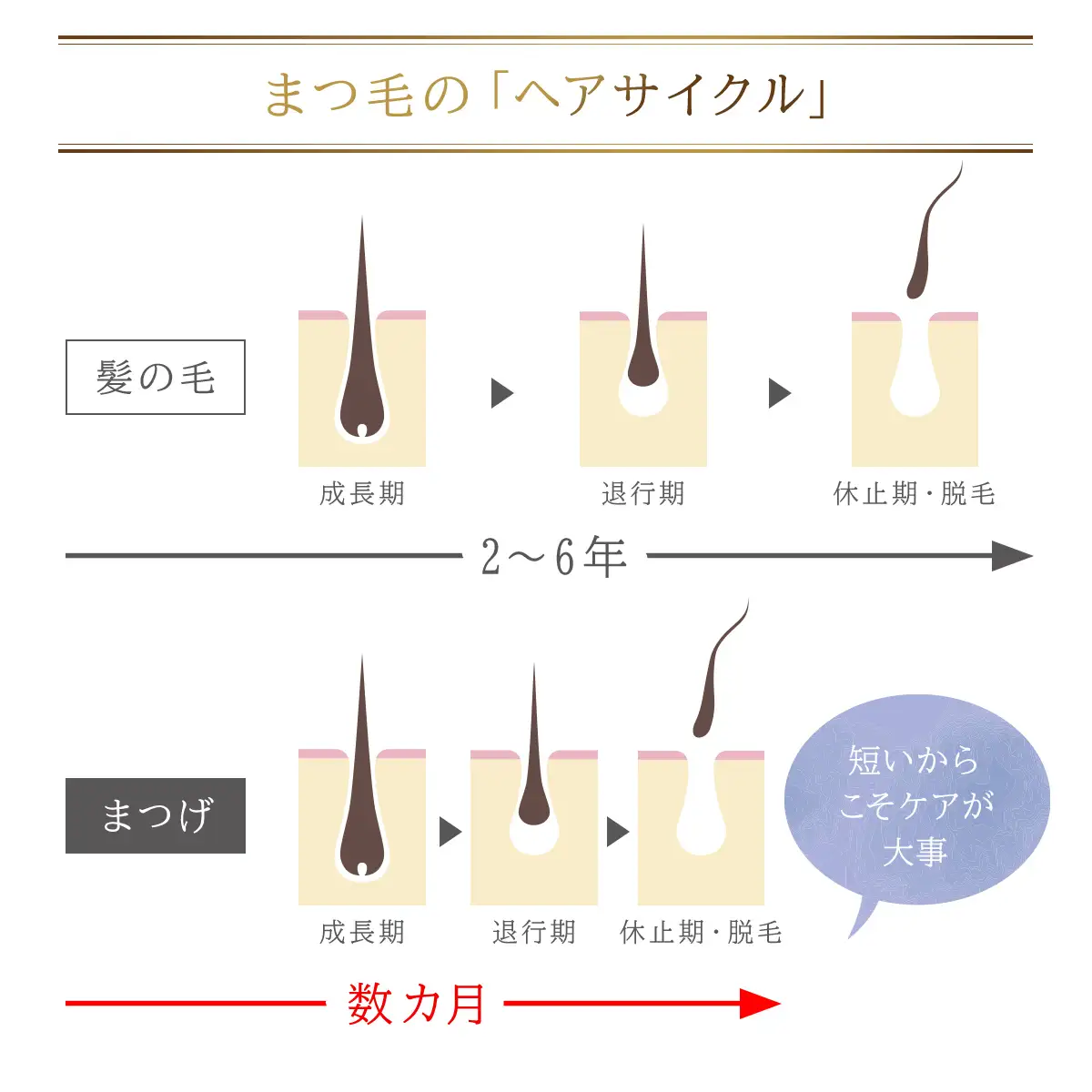 66375_DHCアイラッシュトニック 2個セット MBB001